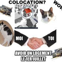 Vignette pour l'image de la liste principale