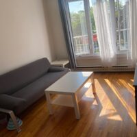 Vignette pour l'image de la liste principale